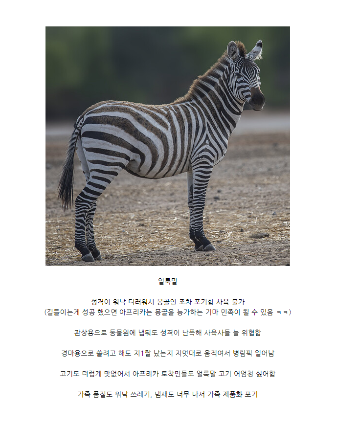 17054115698363.png