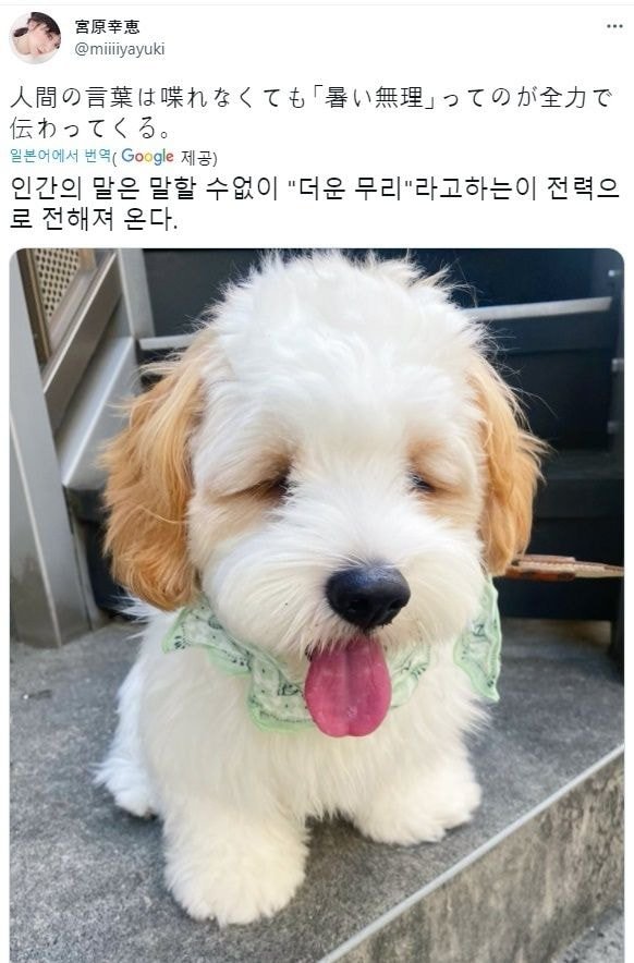 17054115746122.jpeg