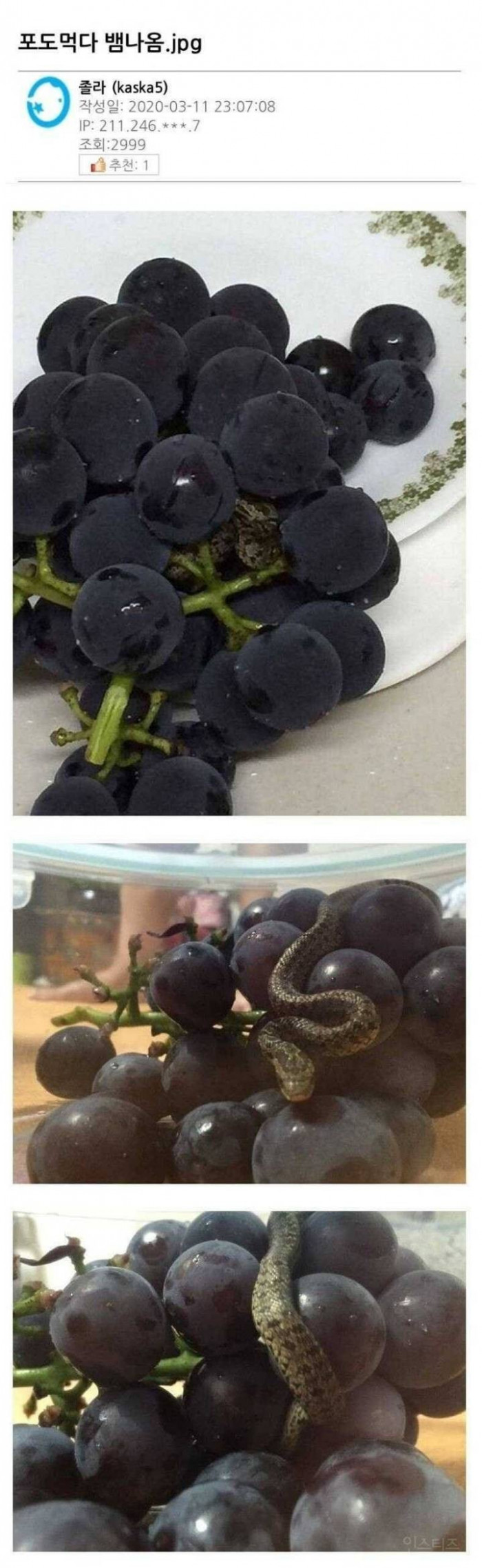 17205727235573.jpeg