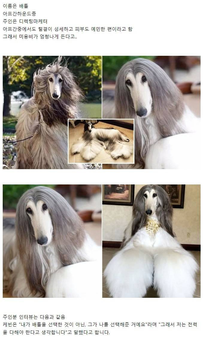 17205736520762.jpeg