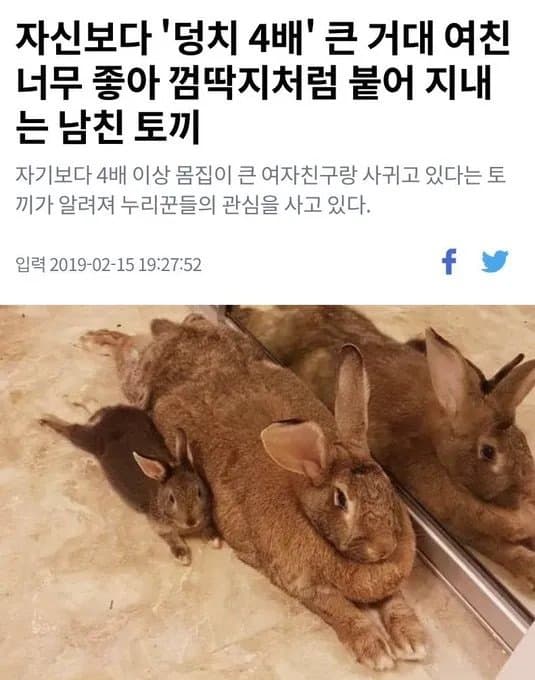17205736827012.jpeg
