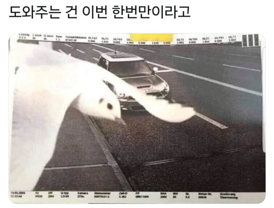 17206609901832.jpeg