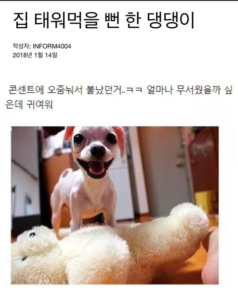 17210909503057.jpeg