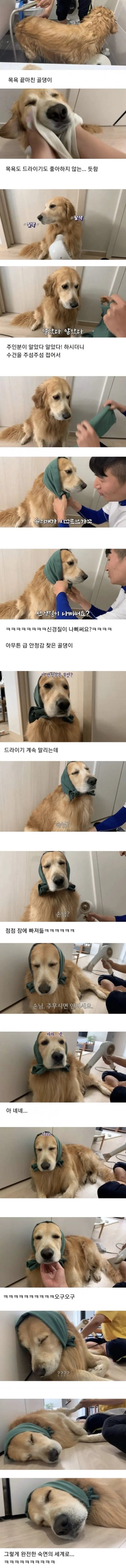 17218999205876.jpeg