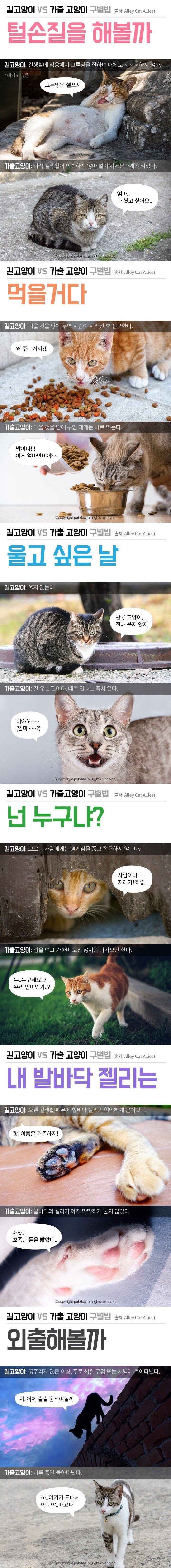 17218999961092.jpeg