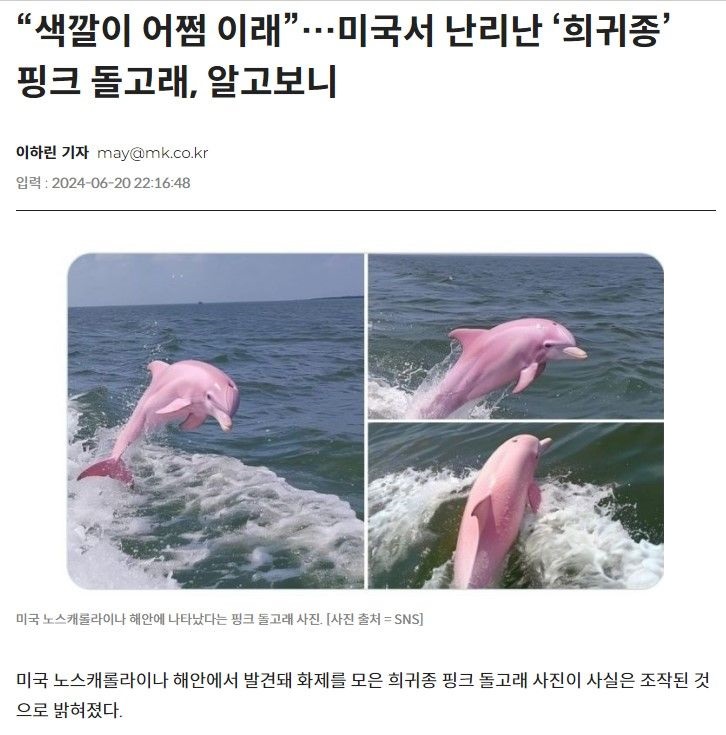 17219000143915.jpeg