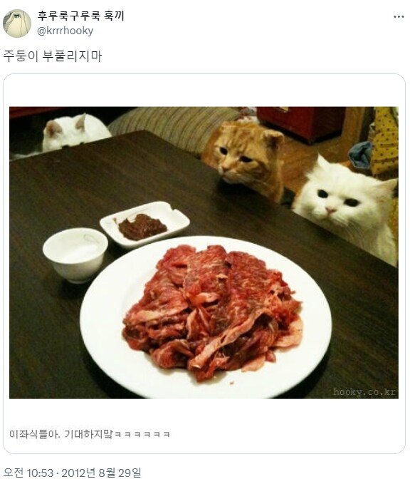 17220664257258.jpeg