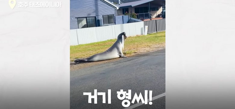 17220665572906.jpeg