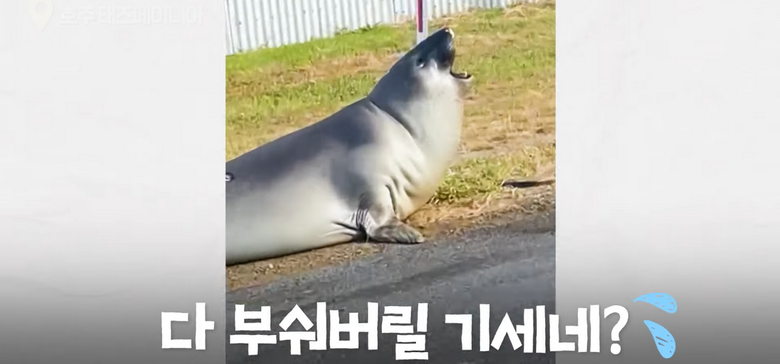 17220665573497.jpeg