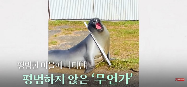 17220665574025.jpeg