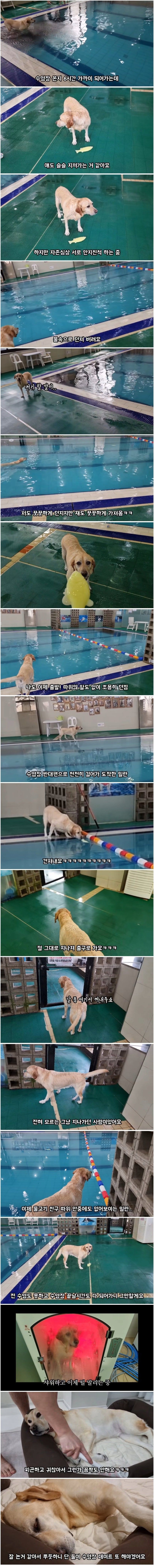 17220668548263.jpeg