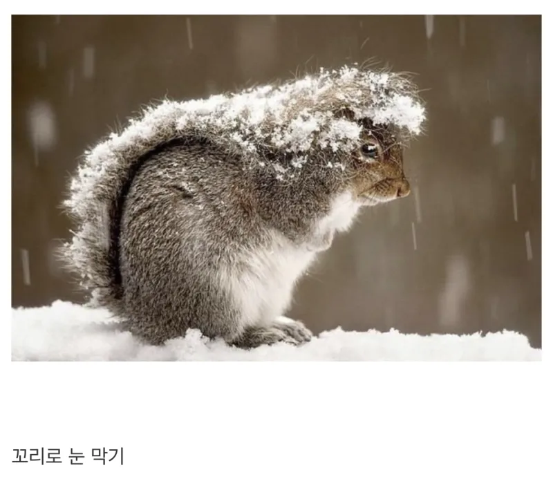 17220668574945.webp