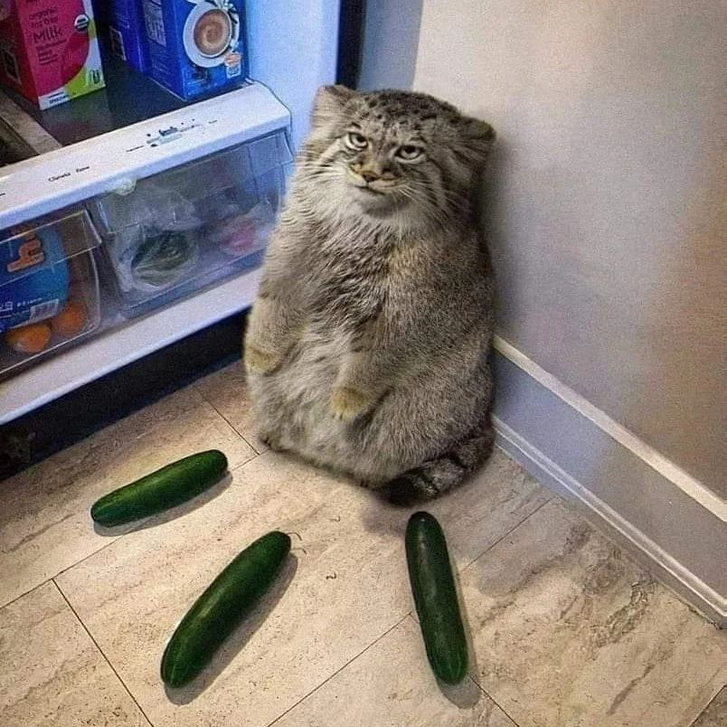 17220668631173.png