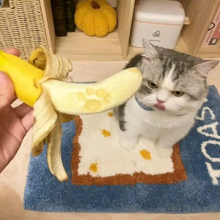 1722066961009.jpeg