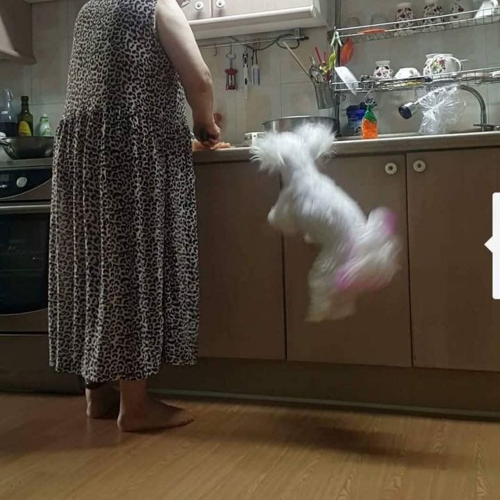 17220670123128.jpeg