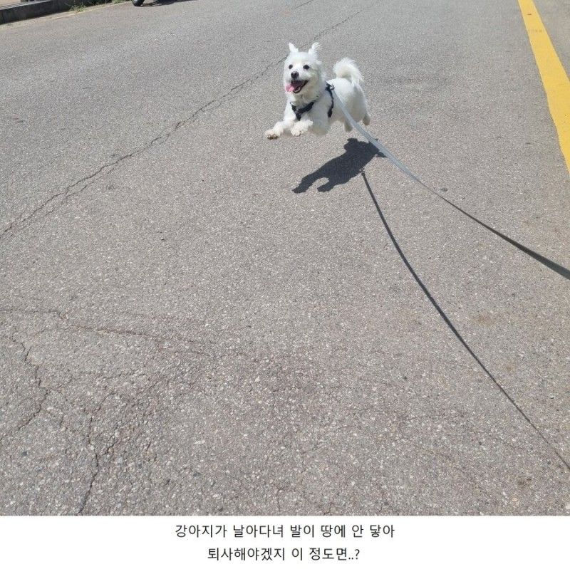 17220671025222.jpeg