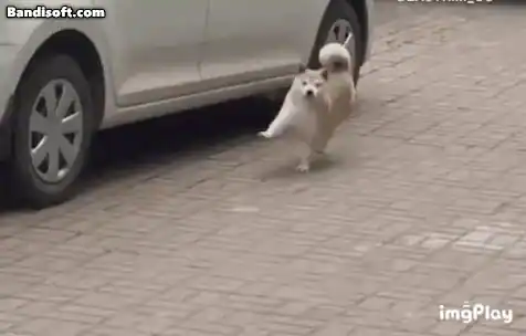 17220671566884.webp