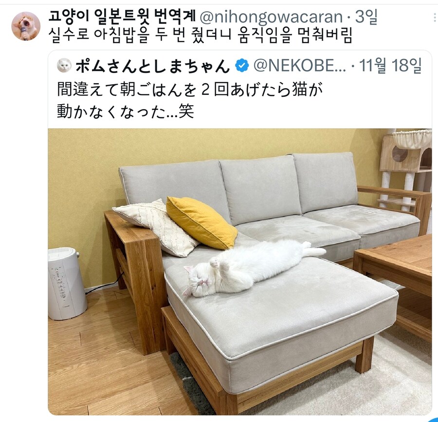 17220671729783.jpeg