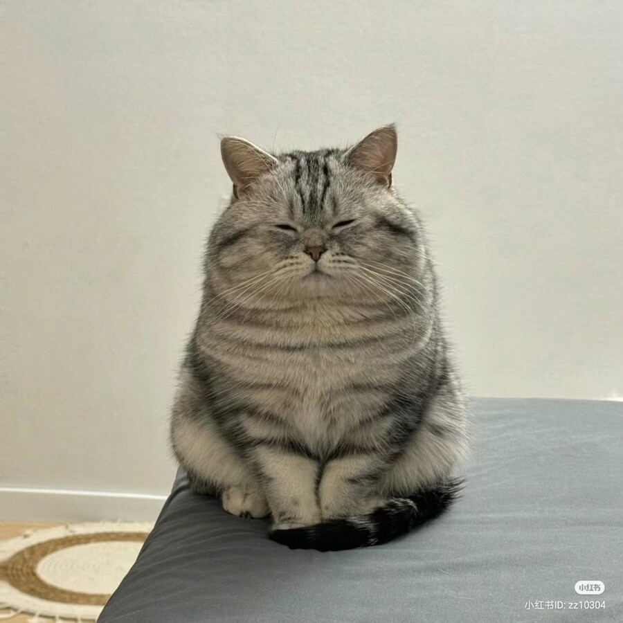 17220673429727.jpeg