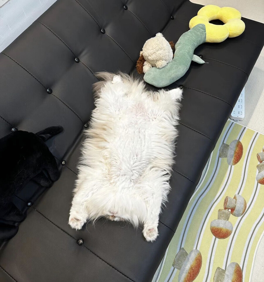 17220674075557.jpeg