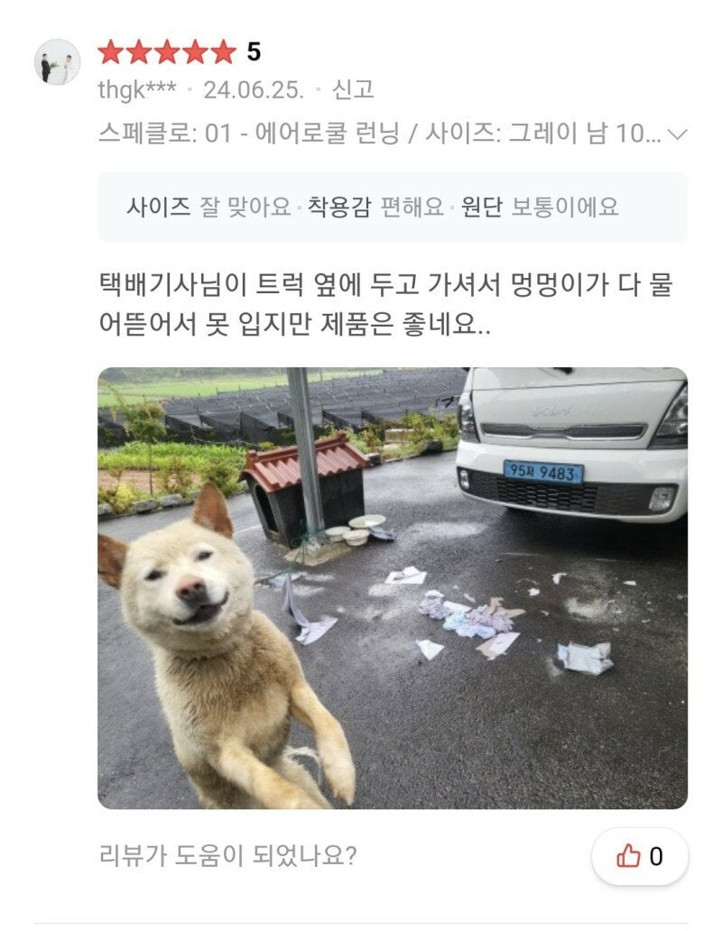 17221371077059.jpeg