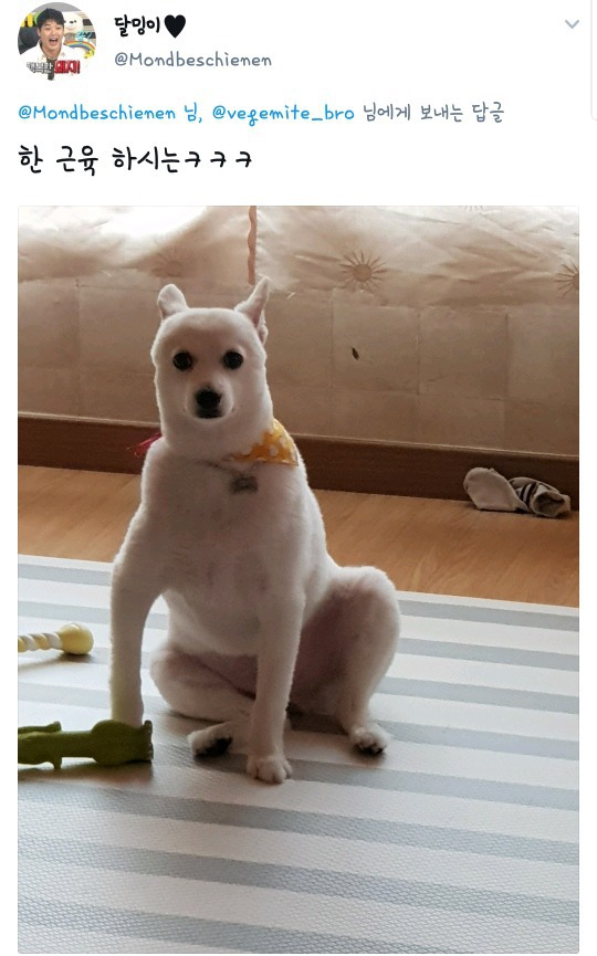 17222429096089.jpeg