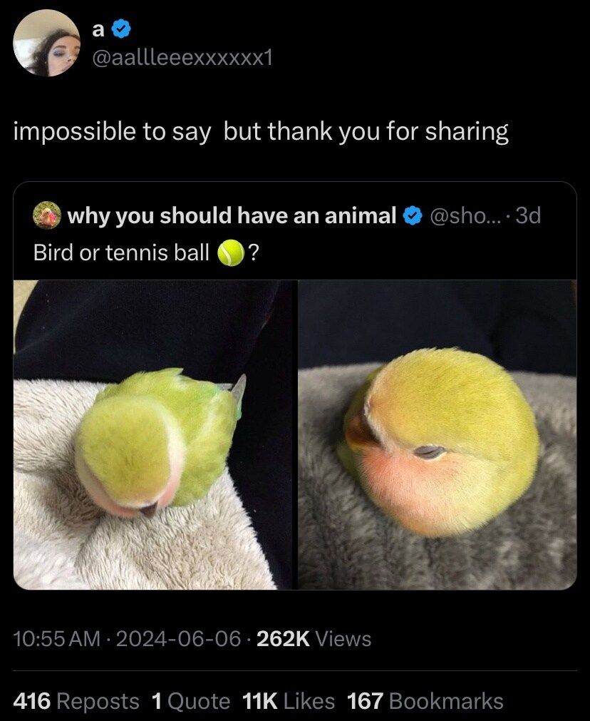 17226724526769.jpeg