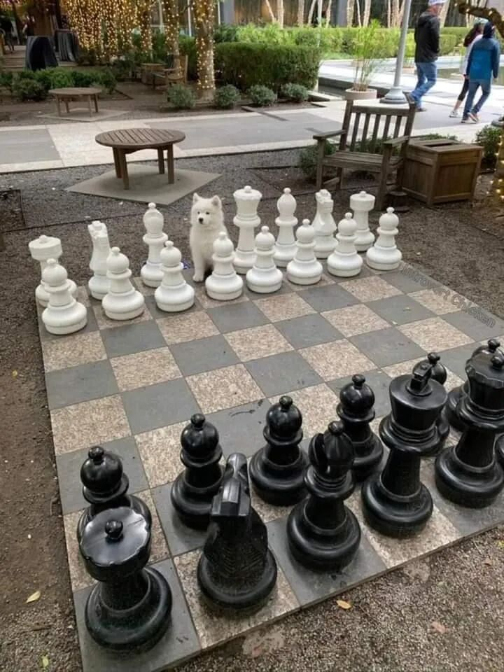 17256903374908.png