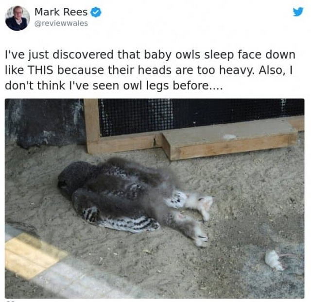 17294945761479.jpeg