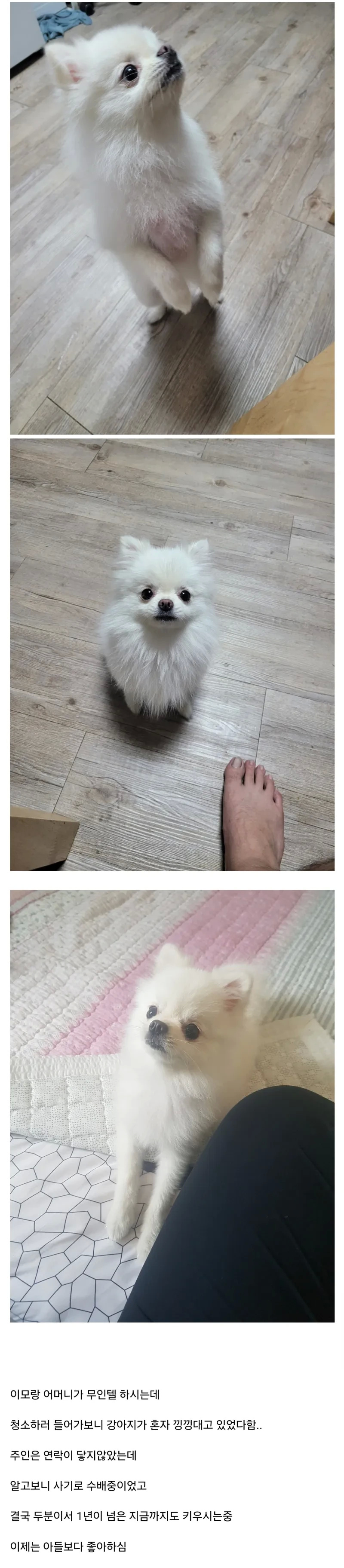 17294947735793.jpeg