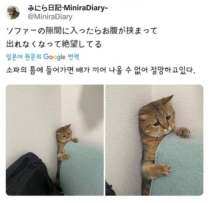17294949514365.jpeg