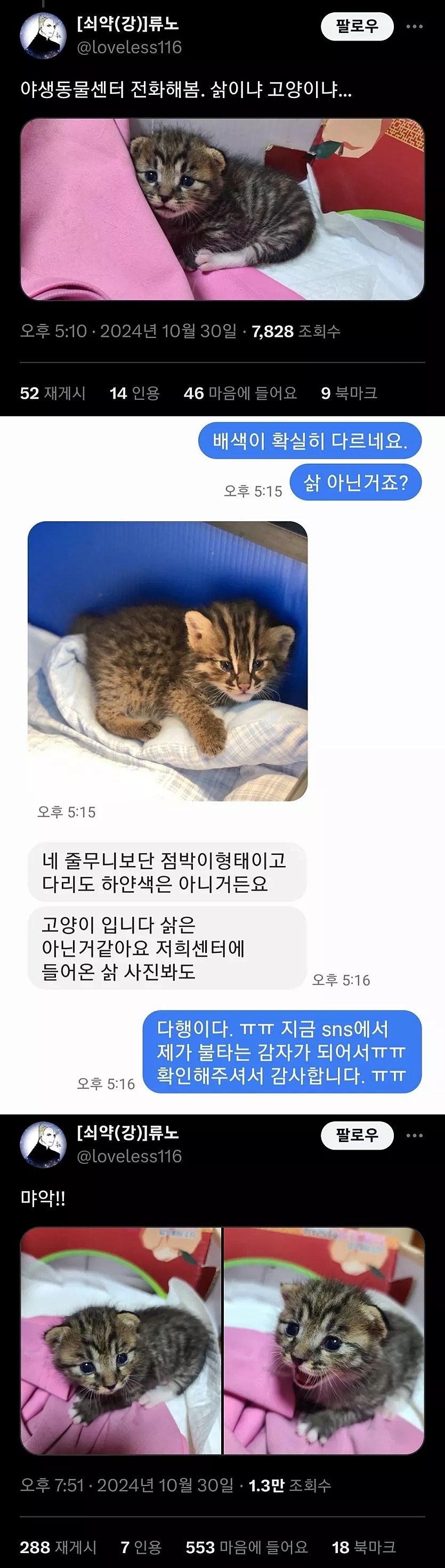 17312321572279.jpeg