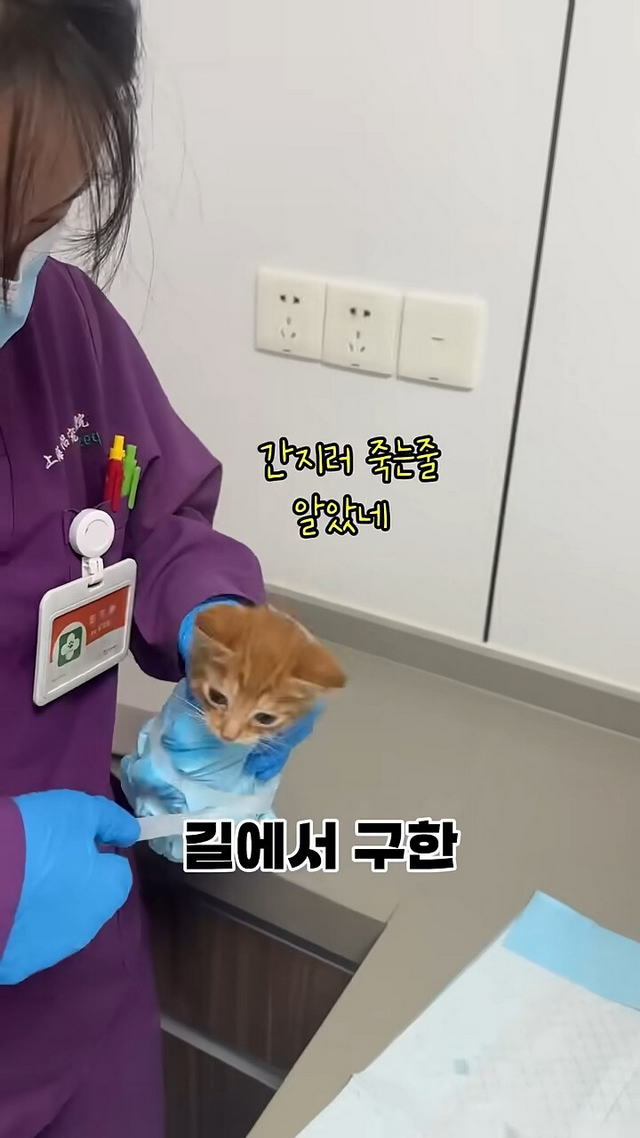 17312322847731.jpeg
