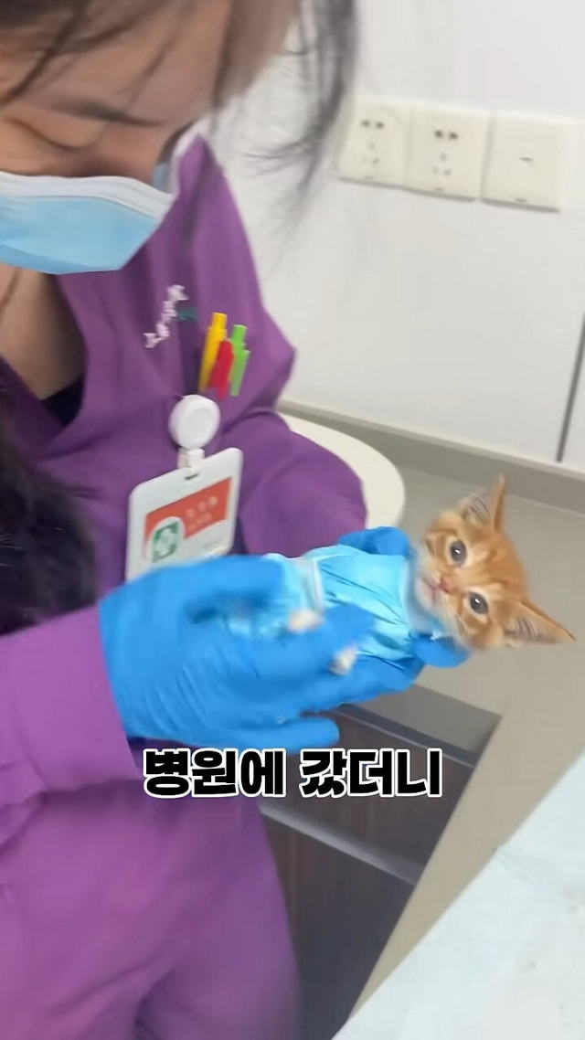 173123228503.jpeg