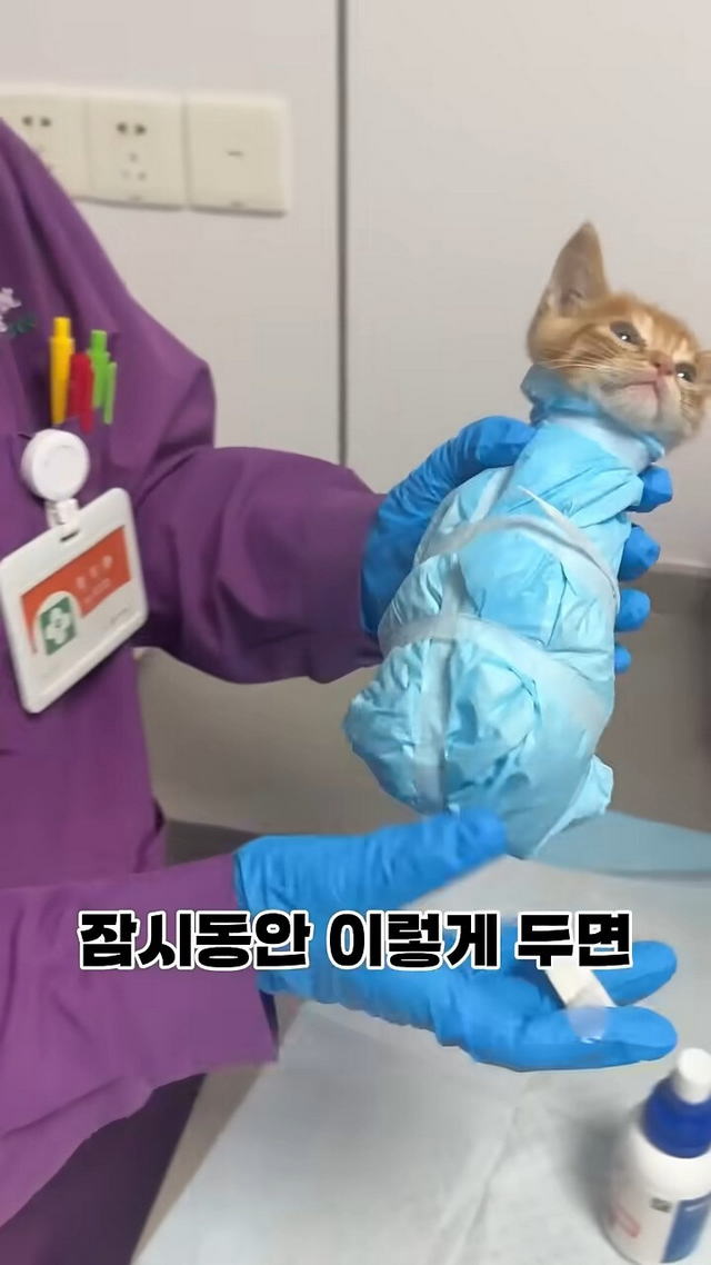17312322851486.jpeg