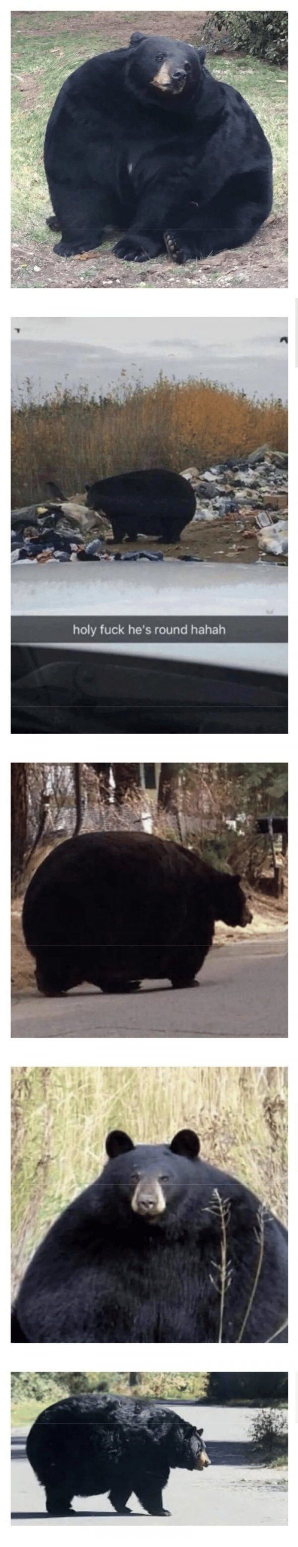 17312323846826.jpeg