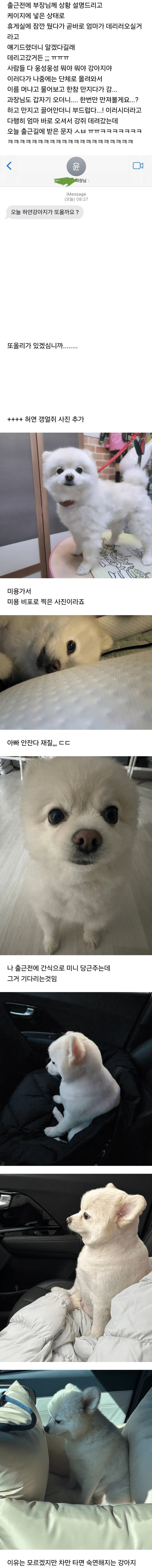17312323933568.jpeg