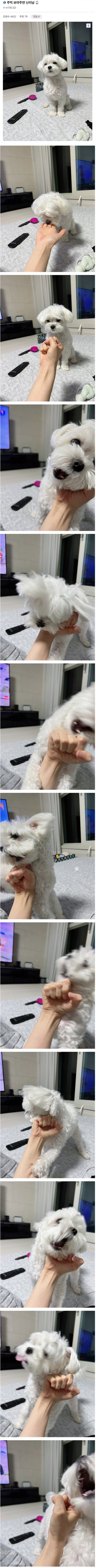 17312324370192.jpeg