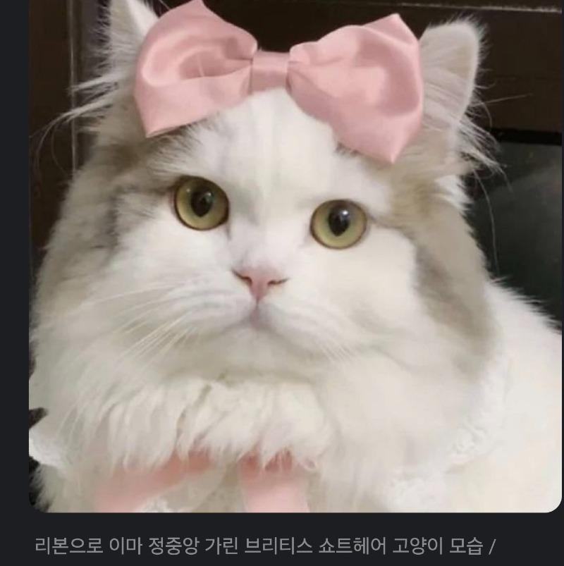 17320998922793.jpeg