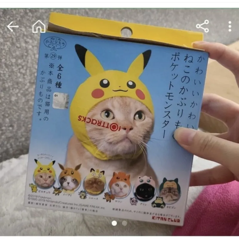 17336356034246.webp