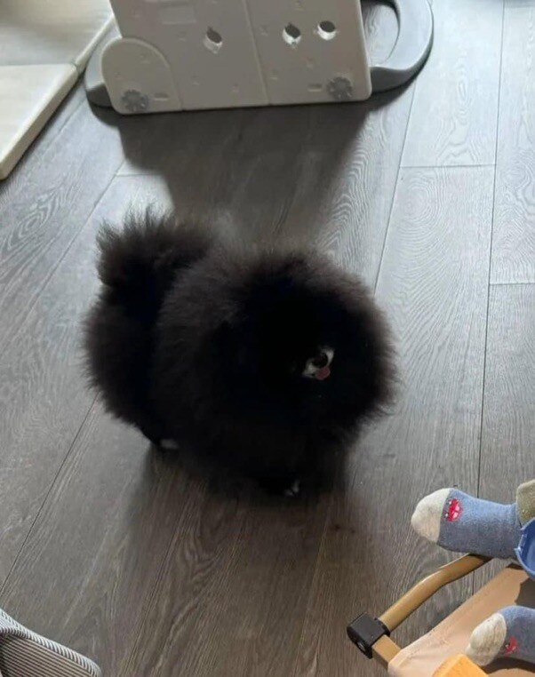1735114208215.jpeg