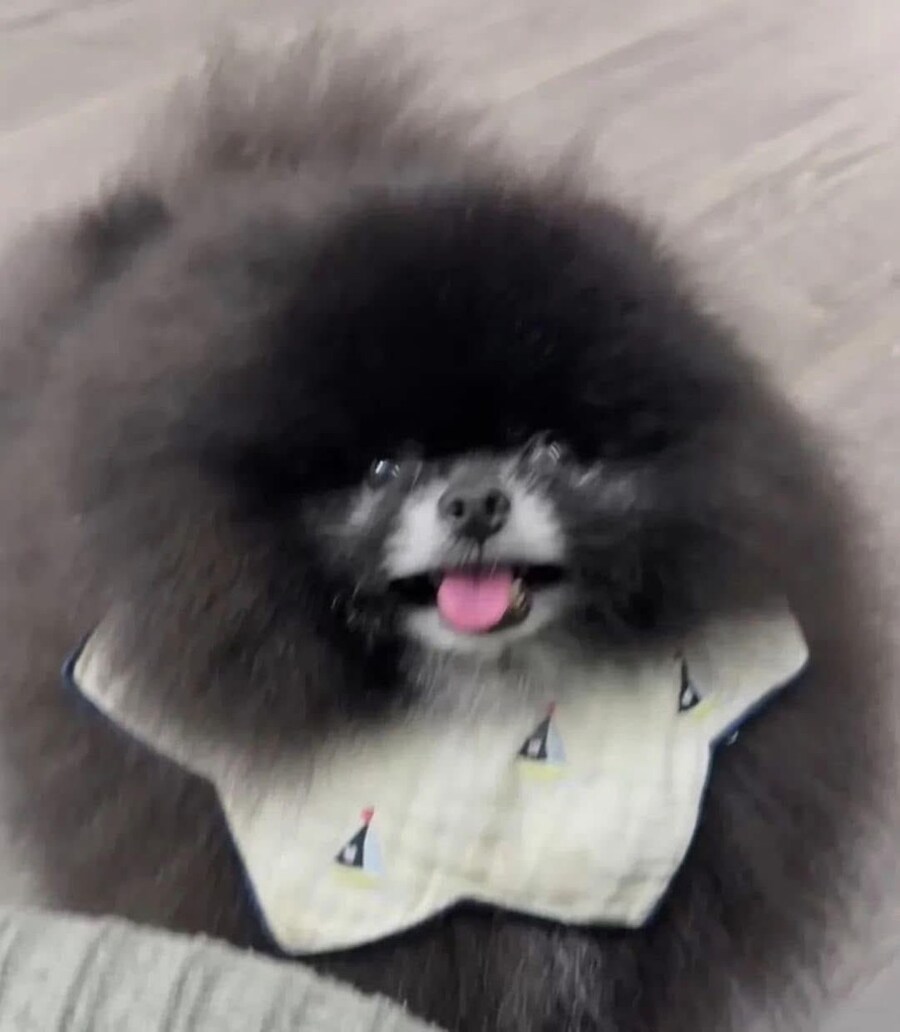 17351142082763.jpeg