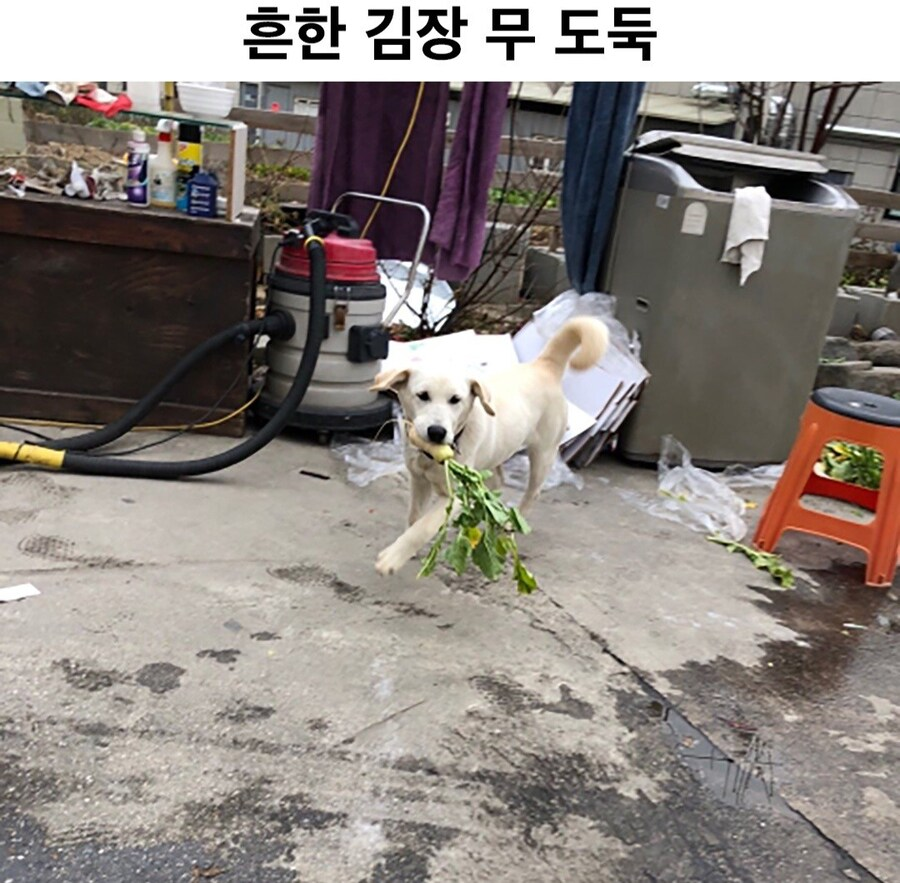 1739076230867.png