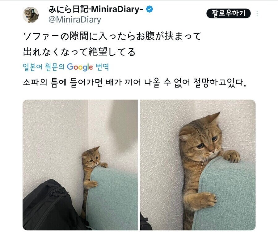 17390762953664.jpeg
