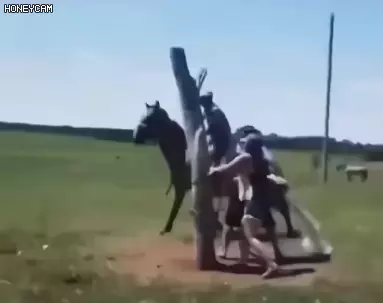 17390764451926.webp
