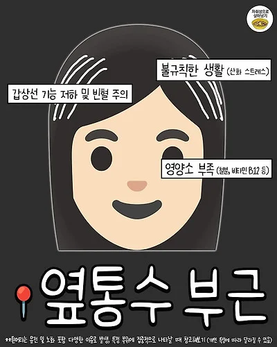 1741944347033.webp