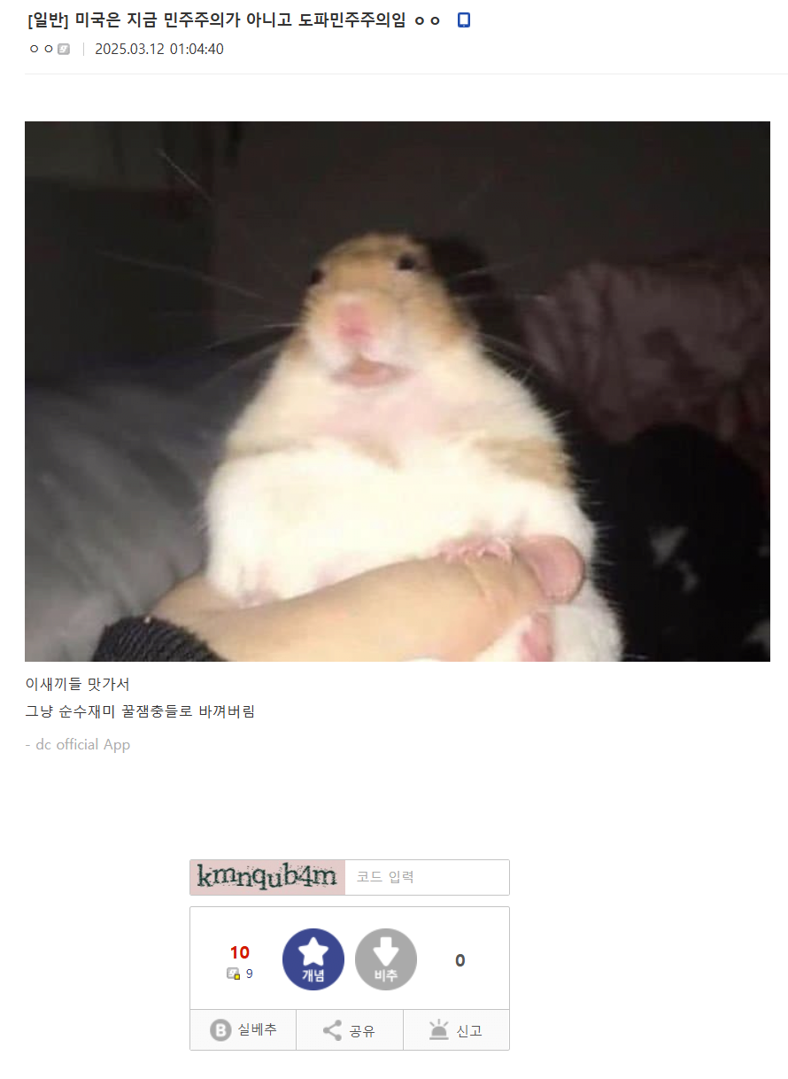 174194621955.png