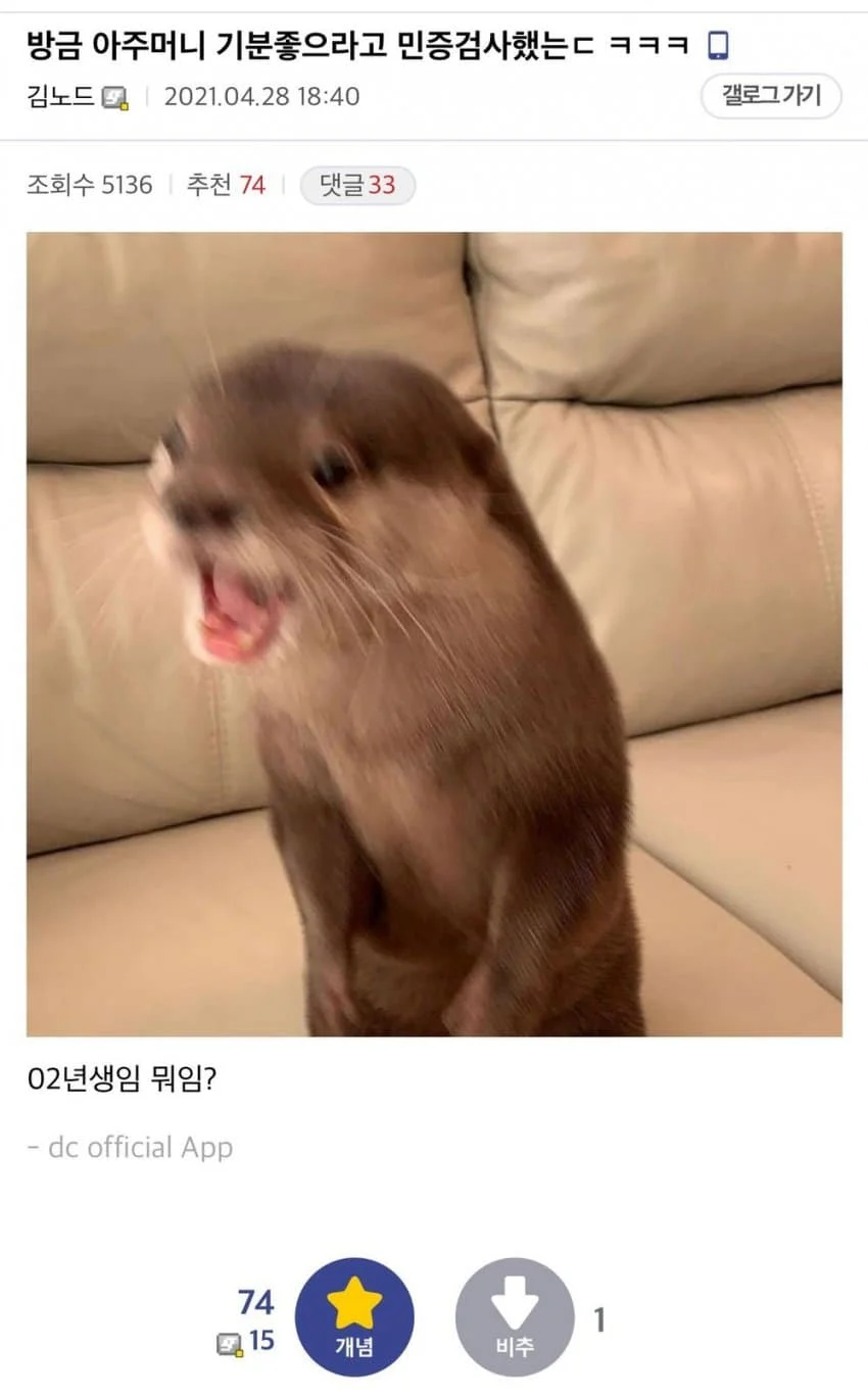 17419479519866.webp