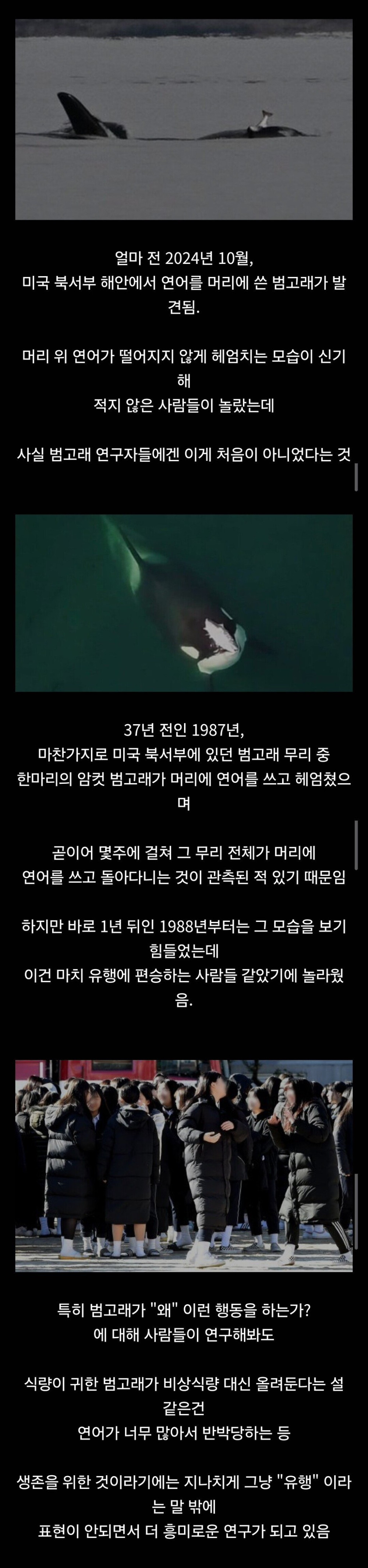 17419472238813.jpeg