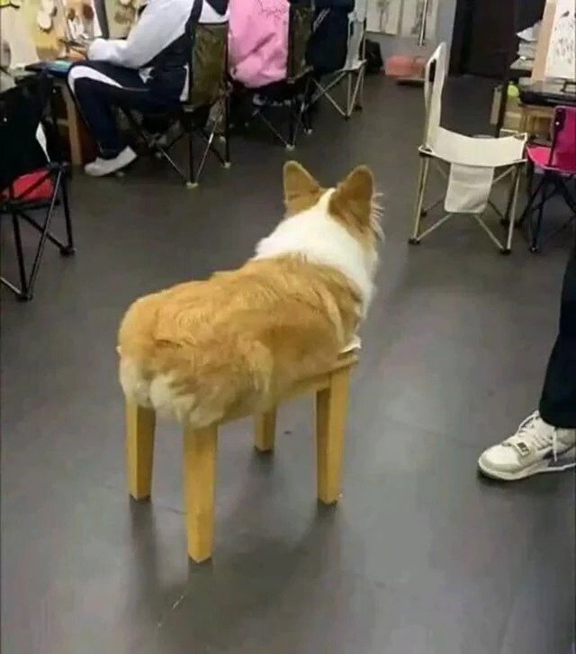 17435771302149.jpeg